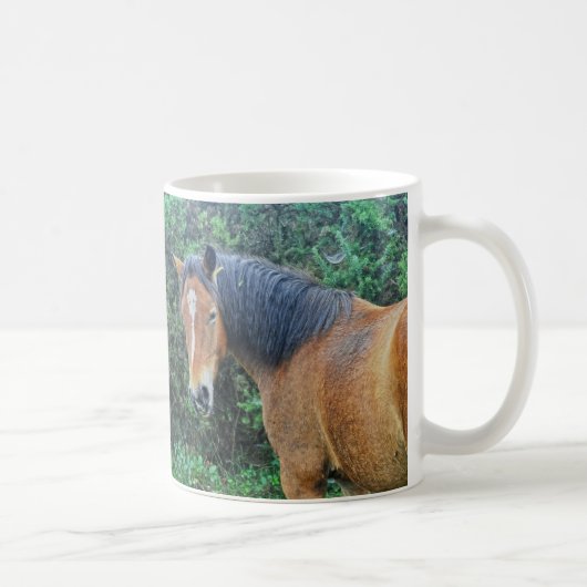 Bay New Forest Pony, Hampshire, England Kaffeetasse (Rechts)