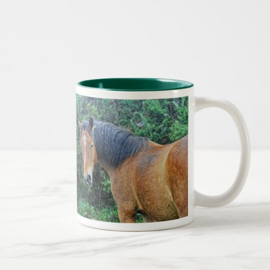 Bay New Forest Pony, Hampshire, England Zweifarbige Tasse (Rechts)