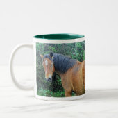 Bay New Forest Pony, Hampshire, England Zweifarbige Tasse (Links)