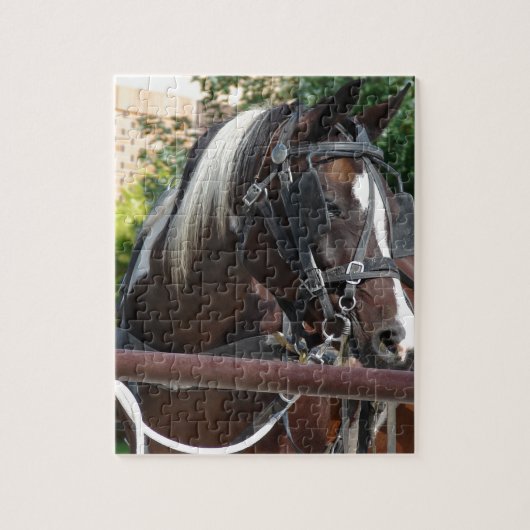 Bay Pinto Amish Buggy Horse in Kalona, Iowa Puzzle (Vertikal)
