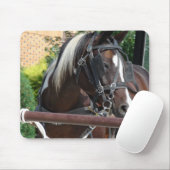 Bay Pinto Amish Buggy Horse Mousepad (Mit Mouse)