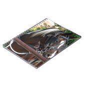 Bay Pinto Amish Buggy Horse Notizblock (Linke Seite)