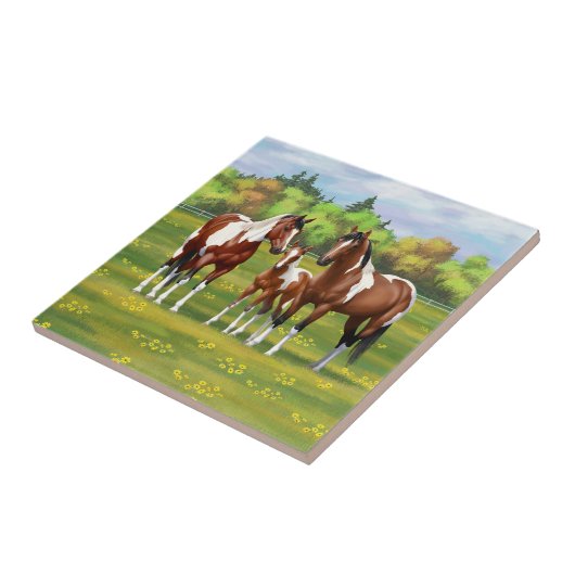 Bay Pinto Paint Quarter Pferde im Sommer Weide Fliese (Seite)