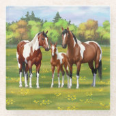 Bay Pinto Paint Quarter Pferde im Sommer Weide Glasuntersetzer (Vorderseite)