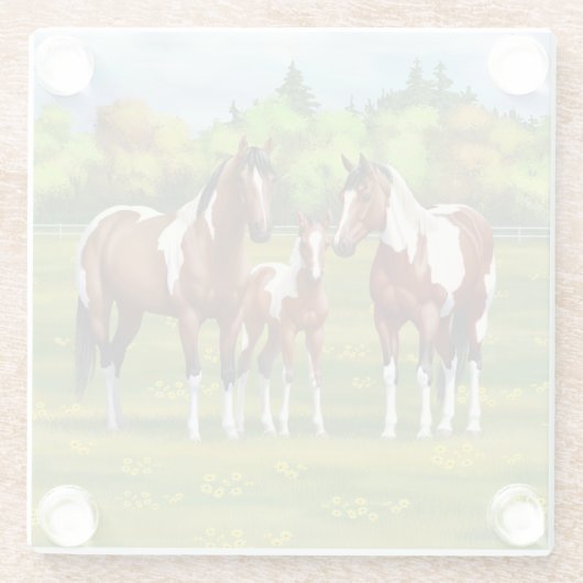 Bay Pinto Paint Quarter Pferde im Sommer Weide Glasuntersetzer (Rückseite)