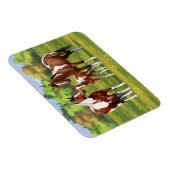 Bay Pinto Paint Quarter Pferde im Sommer Weide Magnet (Rechte Seite)