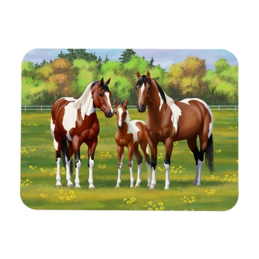 Bay Pinto Paint Quarter Pferde im Sommer Weide Magnet (Horizontal)