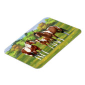 Bay Pinto Paint Quarter Pferde im Sommer Weide Magnet (Linke Seite)