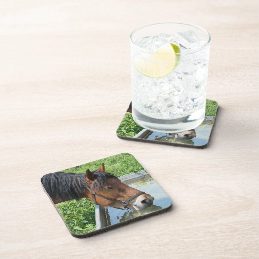 Bay Pony Drink aus dem Wasser Trough Getränkeuntersetzer (Rechte Seite)