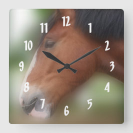 Bay Shire Draft Horse Face Quadratische Wanduhr