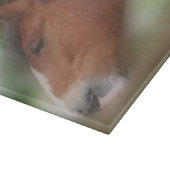 Bay Shire Draft Horse Face Schneidebrett (Ecke)