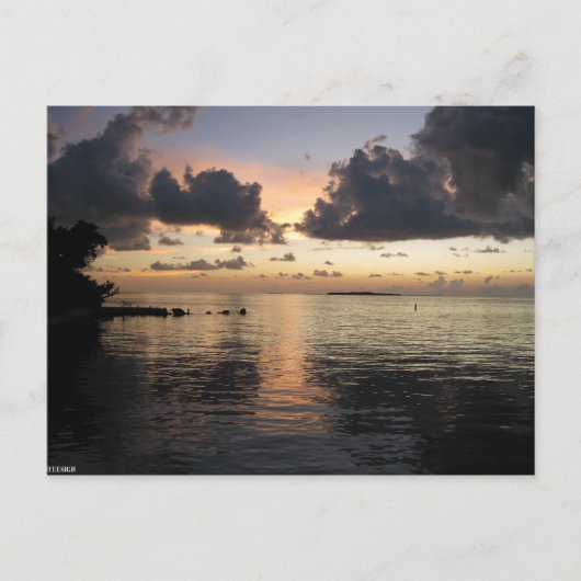 Bay Sunset Postkarte (Vorderseite)