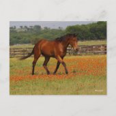 Bay Thoroughbred Horn Walking Blume Postkarte (Vorderseite)