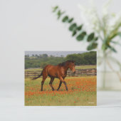 Bay Thoroughbred Horn Walking Blume Postkarte (Stehend Vorderseite)