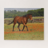 Bay Thoroughbred Horn Walking Blume Puzzle (Horizontal)
