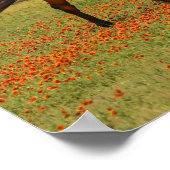 Bay Thoroughbred Horse Walking Flowers Poster (Ecke)
