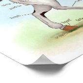 Bay Tobiano Pinto Pferde Reittiere Anatomie Poster (Ecke)