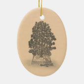 Bay Tree Keramik Ornament (Hinten)