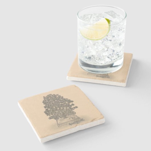 BAY TREE MARBLE STONE UNTERSETZER (Seitenansicht)