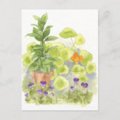 Bay Tree Nasturium Herb Garden Postkarte (Vorderseite)