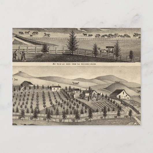 Bay View und Residence JR Rose Postkarte (Vorderseite)