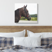 Bay Walker Mare Leinwanddruck (Insitu (Schlafzimmer))