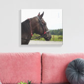 Bay Walker Mare Leinwanddruck (Insitu (Wohnzimmer))