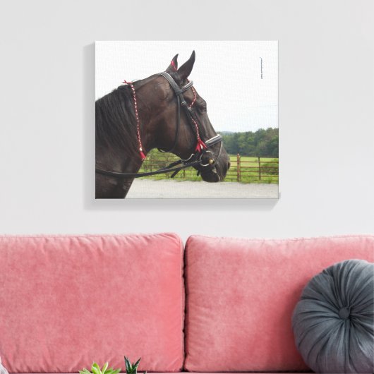 Bay Walker Mare Leinwanddruck (Insitu (Wohnzimmer))