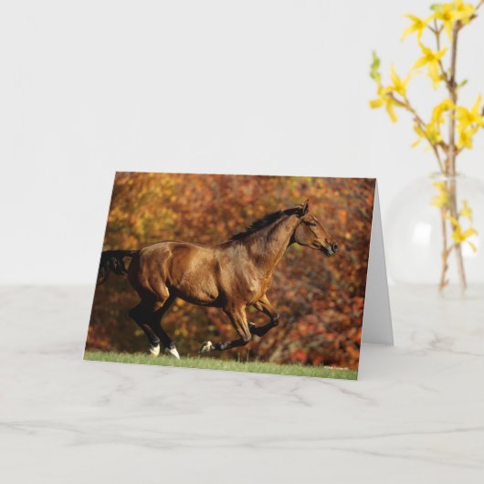 Bay Warmblut im Herbst Hintergrund Karte (Gelbe Blume)