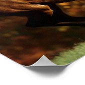 Bay Warmblut im Herbst Hintergrund Poster (Ecke)