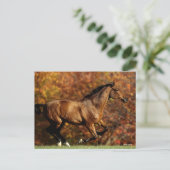 Bay Warmblut im Herbst Hintergrund Postkarte (Stehend Vorderseite)