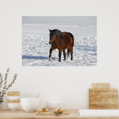 Bay Winter Horse "Jahr des Pferdes" Pferdefleisch  Poster (Küche)