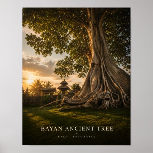 Bayan-Urwaldbaum Bali Poster (Vorne)
