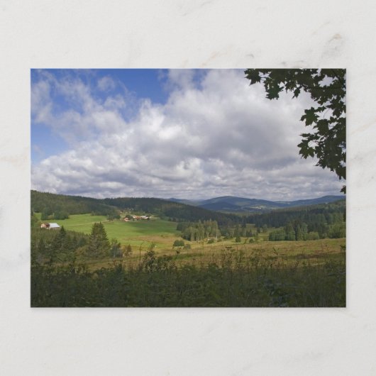 Bayerische Forstkarte Postkarte (Vorderseite)