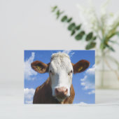 Bayerische Kuh gegen blauen Himmel Postkarte (Stehend Vorderseite)