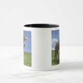 bayerische Kuh Tasse (Zentrum)