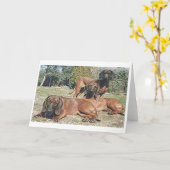Bayerischer Hundeschlittenrumpf Karte (Gelbe Blume)
