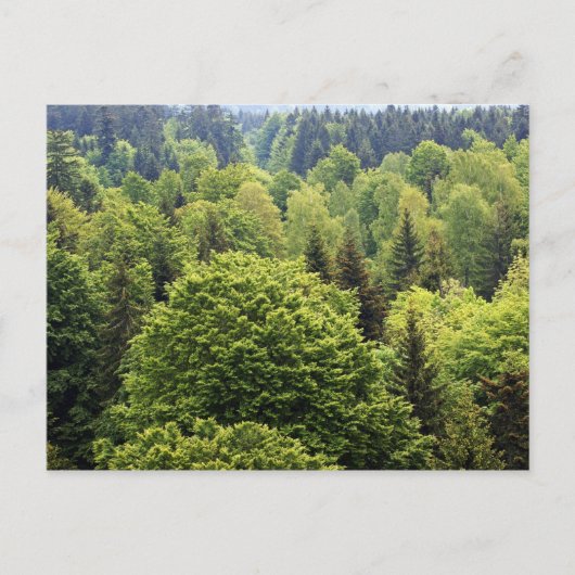 Bayerischer Wald Postkarte (Vorderseite)