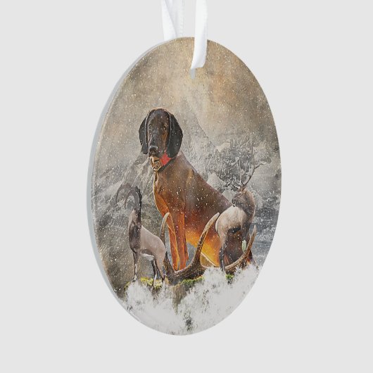 Bayerisches Berghaus, Kunst Ornament (Vorderseite)