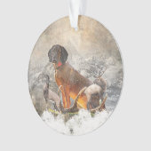 Bayerisches Berghaus, Kunst Ornament (Vorderseite)