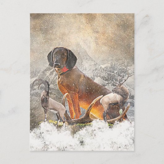 Bayerisches Berghaus, Kunst Postkarte (Vorderseite)