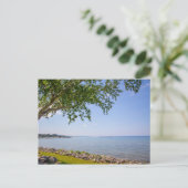 Bayfront Park, Petoskey, Michigan Postkarte (Stehend Vorderseite)