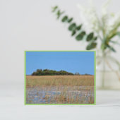 Bayhead in Sawgrass Postkarte (Stehend Vorderseite)
