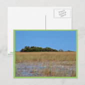 Bayhead in Sawgrass Postkarte (Vorne/Hinten)