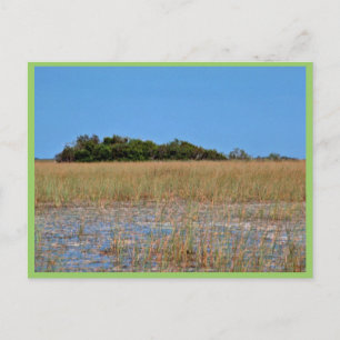 Bayhead in Sawgrass Postkarte