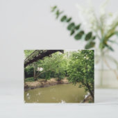 Bayou Bend Collection Park, Houston, Texas, U.S.A. Postkarte (Stehend Vorderseite)