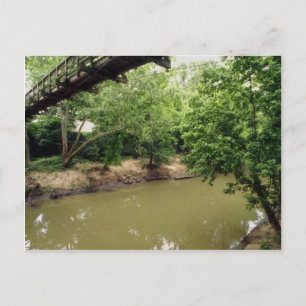 Bayou Bend Collection Park, Houston, Texas, U.S.A. Postkarte