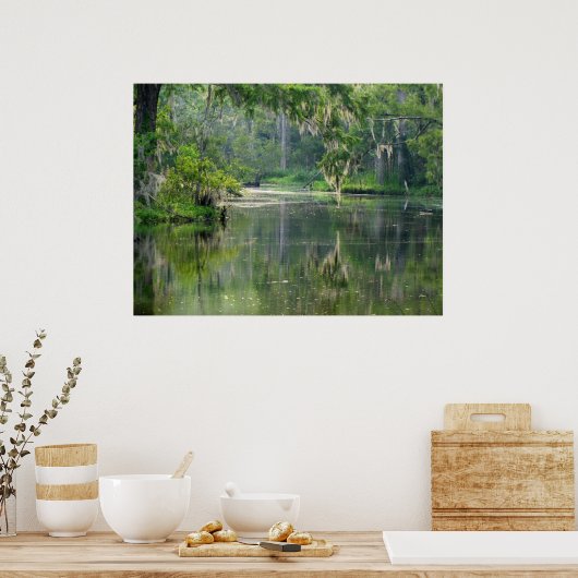Bayou Poster (Küche)