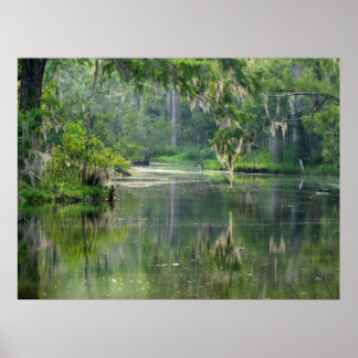 Bayou Poster