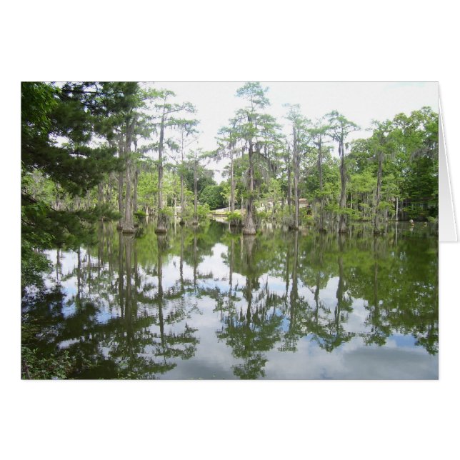 Bayou Reflection Card (Vorderseite (Horizontal))
